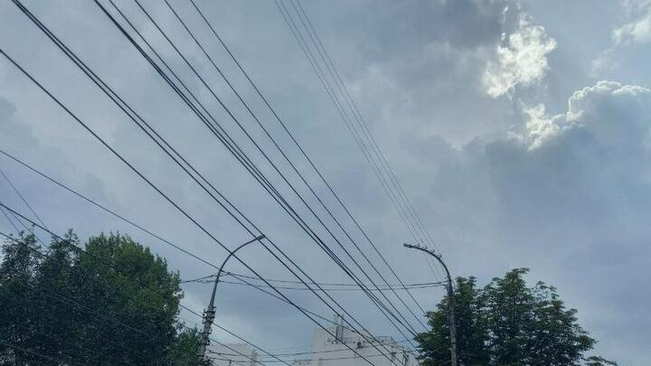 В Саратове обрыв провода убил корову и травмировал горожанина