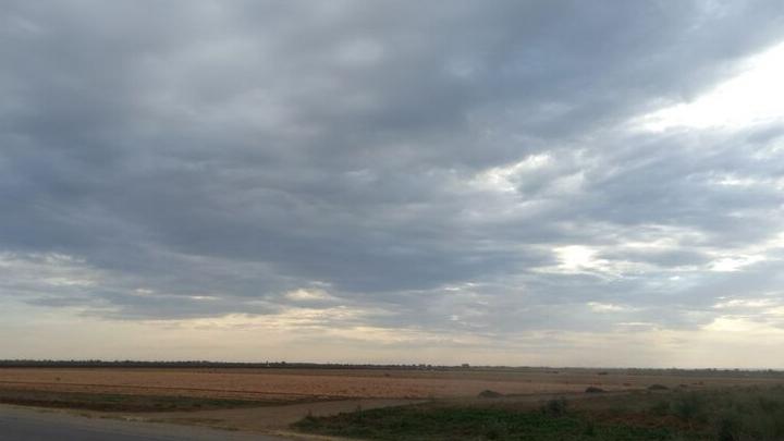 На ферме под Балаково нашли безпатентных рабочих-мигрантов