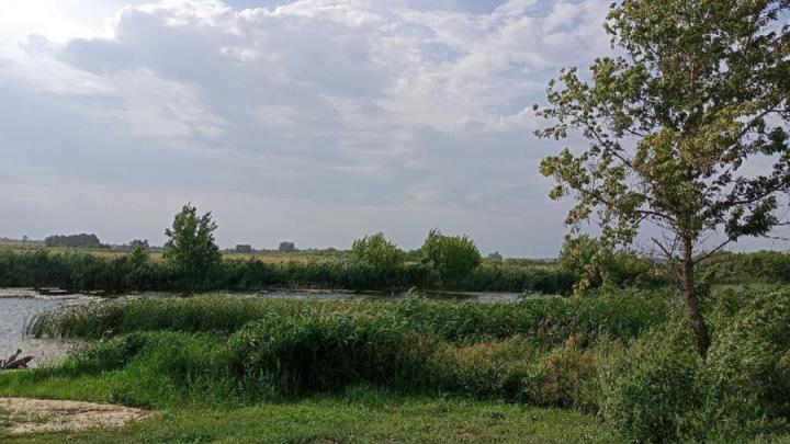 В Саратовской области до середины недели сохранится жара с грозами