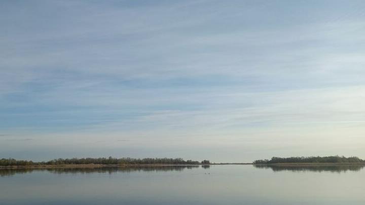 В Саратовской области прогнозируется дождь
