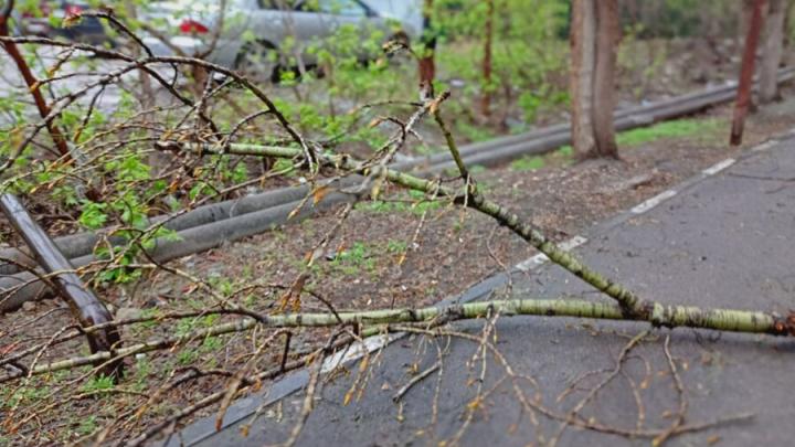 Жителям Саратовской области помогут восстановить имущество после шквалистого ветра