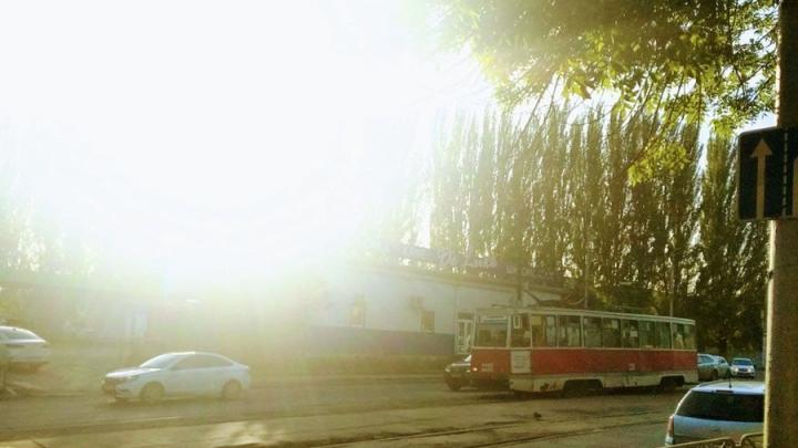 Саратовцы плохо переносят жару