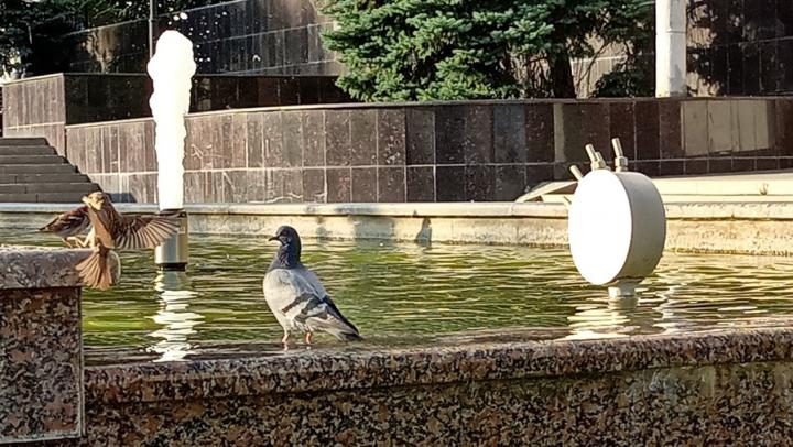 В Саратовской области ожидается жара до +31° и порывистый ветер