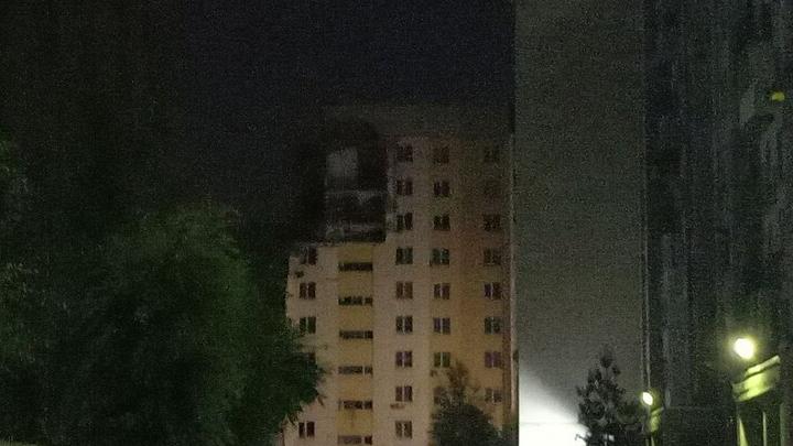 «Почти две недели в плену»: как кошка Масяня выжила под руинами дома на улице Блинова