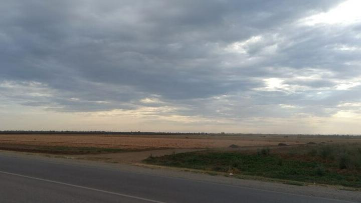 В Саратовской области аграрии в среднем зарабатывают 86 тысяч рублей