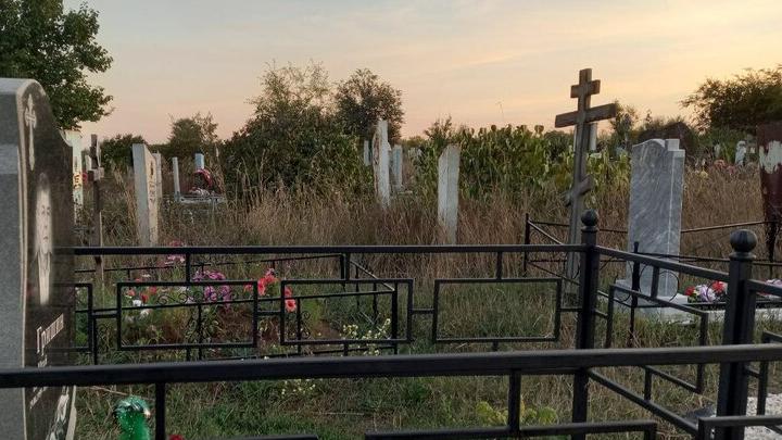 Саратовский «Ритуал» возглавил Александр Балашов