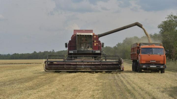 В Саратовской области собрано 3 млн тонн зерна
