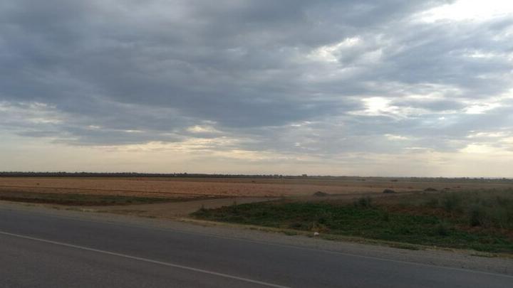 Под Саратовом фермер не хотел платить премию работникам