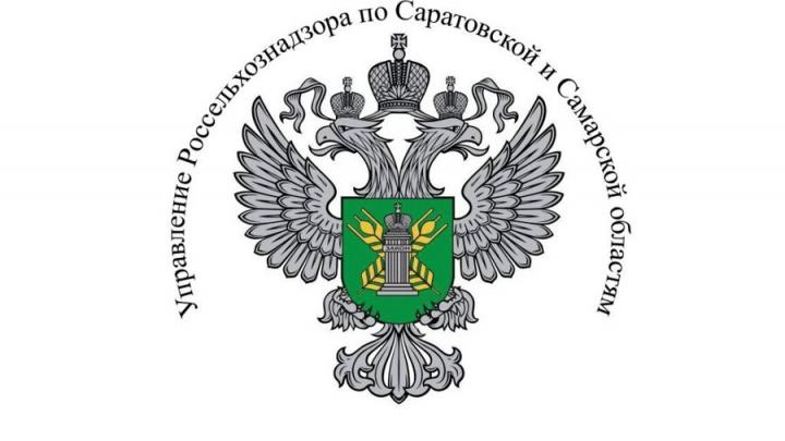 В Саратовской области выявлено 480 тысяч тонн задекларированного с нарушениями зерна
