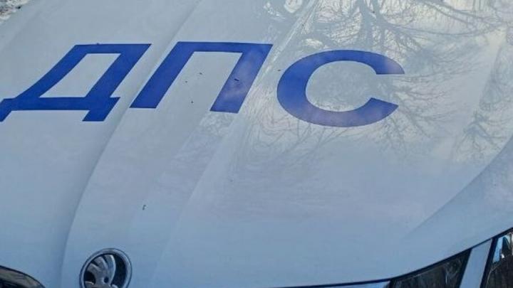 Водитель из Мордовии пытался подкупить инспектора под Петровском