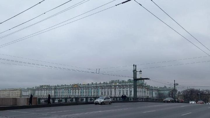 Турист из Балашова остался без поездки и денег