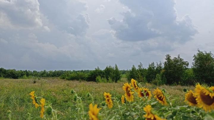 На выходных в Саратовской области ожидается потепление и сухая погода