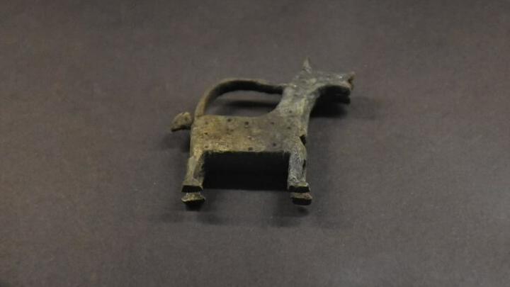 В Саратове нашли древний рынок XIV века — среди находок золотое украшение