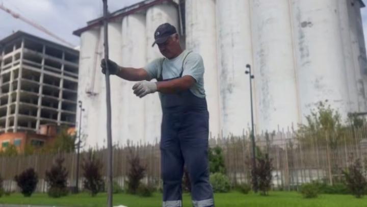 В центре Саратова высадят 950 новых деревьев