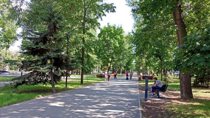 Тёплая и сухая погода ожидается в Саратове в субботу