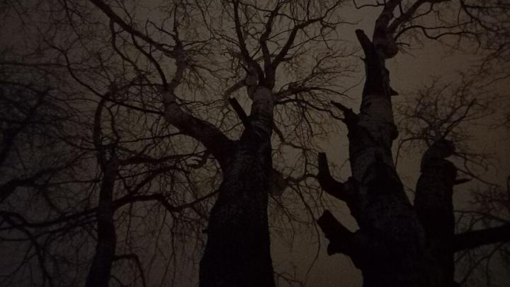 Житель Маркса обокрал дом умерших хозяев