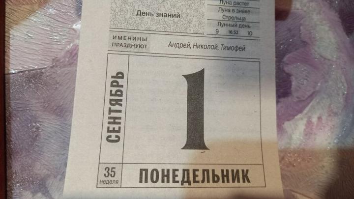 Саратовцам пояснили четыре способа сделать 1 сентября выходным