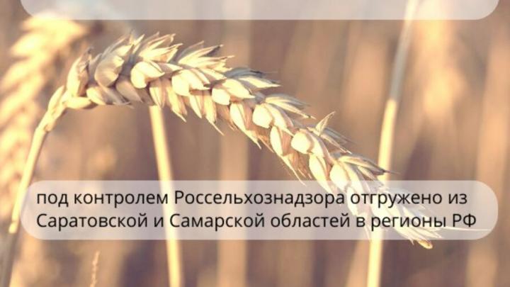 Из Саратовской области было отгружено 643,3 тысячи тонн зерна