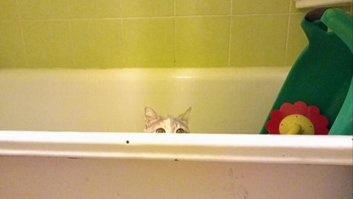 На весь день отключат воду на двух улицах Ленинского района Саратова