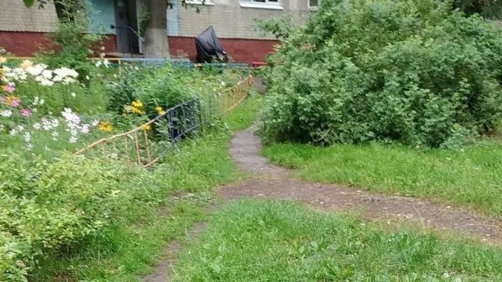 В Солнечном во дворе на Топольчанской посеют газон