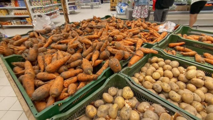 Огурцы дорожают в Саратовской области, морковь и секла дешевеют