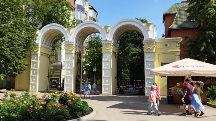 Торговые точки в городском парке Саратова освободят для новых конкурсов