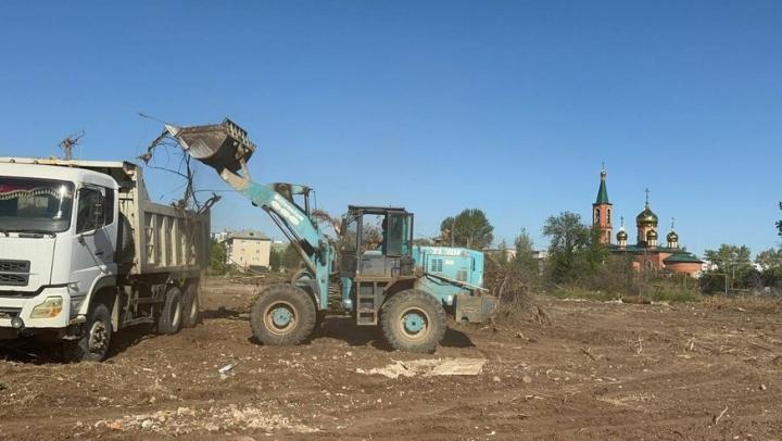 В Летном городке Энгельса скоро появится экопарк
