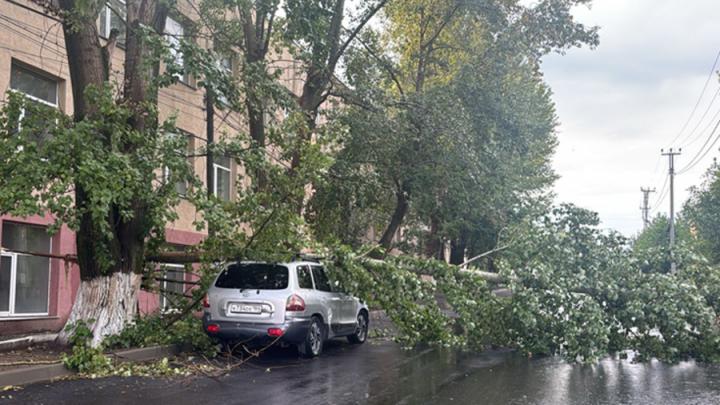 Ураганный ветер с градом в Вольске повалил деревья и сорвал крыши