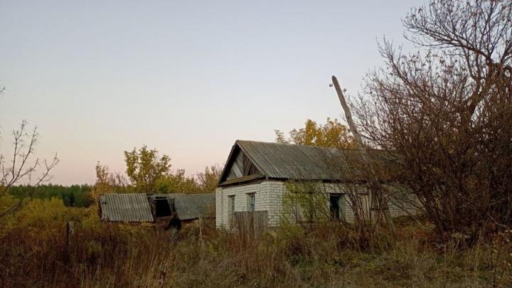Саратовских дачников предупредили об опасности мышиной лихорадки