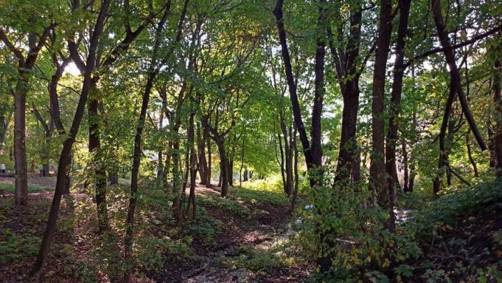 Саратовские охотники получили 11 тысяч разрешений