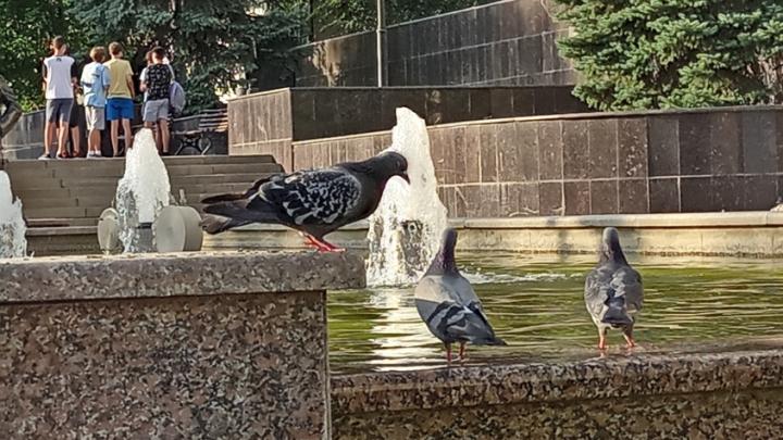 В выходные в Саратовской области будет жарко
