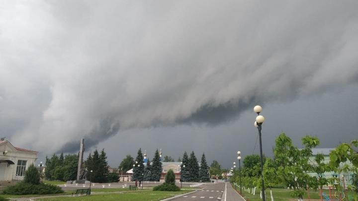Жара в Саратовской области на неделе сменится дождями и грозами