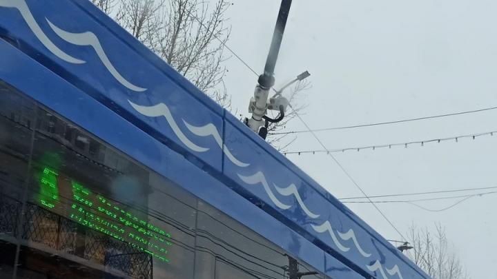 Три троллейбусных маршрута остановились в Саратове