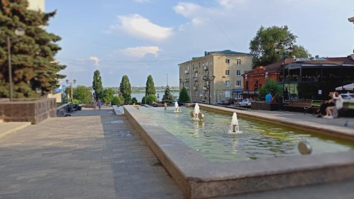 На Фединском спуске в Саратове появятся новые растения