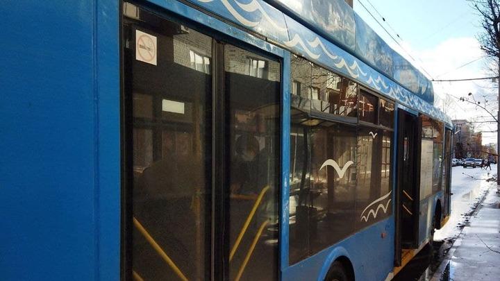 Дерево упало на улице Рахова в Саратове