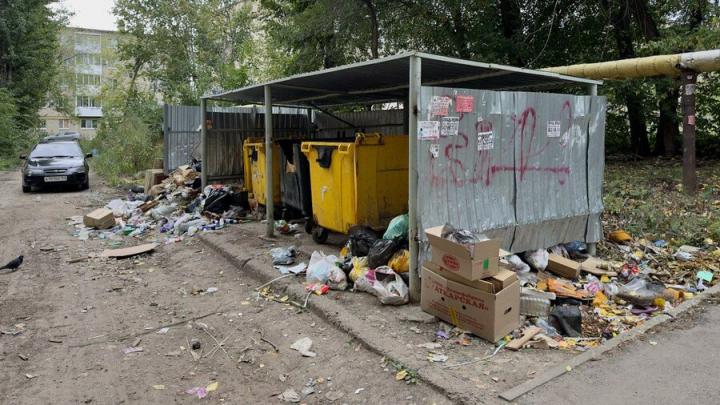 Мэрия Саратова назвала улицы, где коммунальщики забросили мусорные площадки