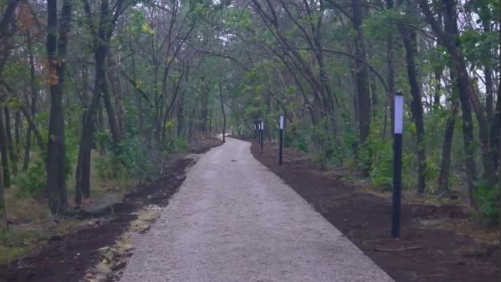 В Саратове открывают новую пешеходную зону длиной 2,5 км