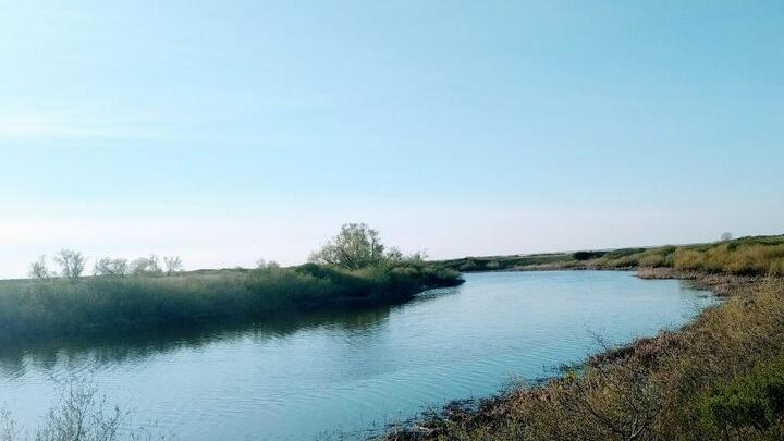 В Энгельсском районе рыбак задел удочкой провода и погиб