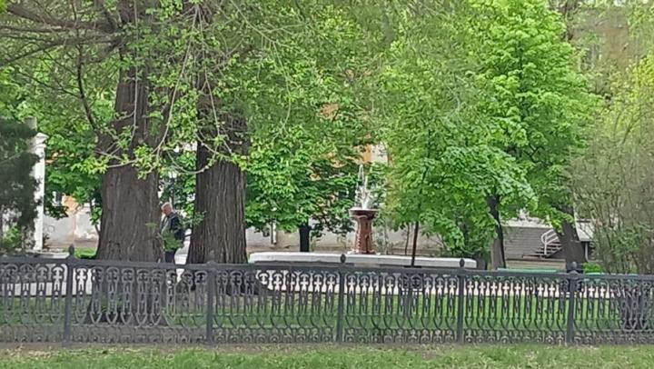 В сквере Первой учительницы посадили липы, сирень и гортензии