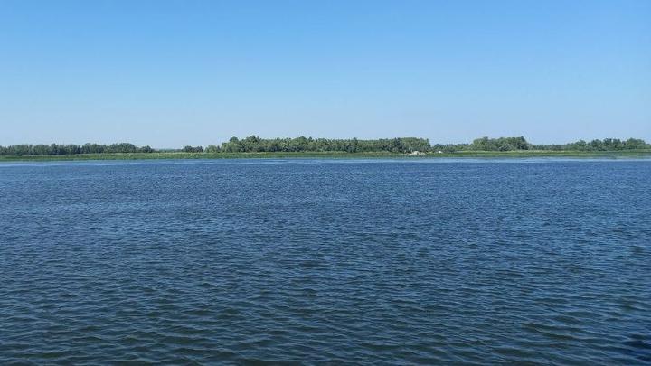 Балашовский рыбак выплатил ущерб за незаконную рыбную ловлю