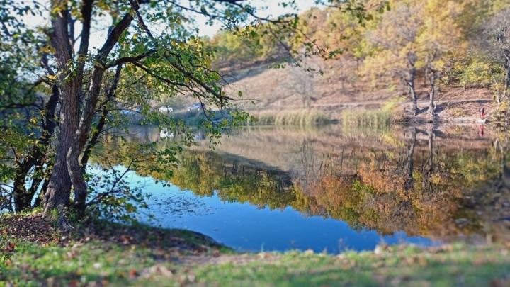 В Саратове комфортная погода без дождей