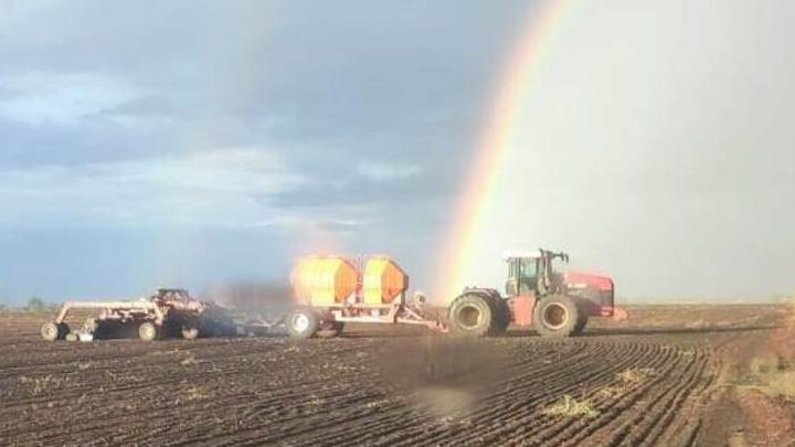 В Энгельсском районе засеяли 45  тысяч гектар озимых