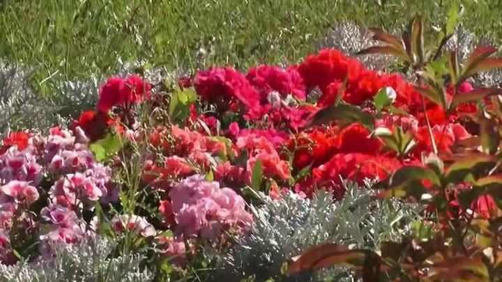 В энгельсском горпарке откорректировали систему автополива