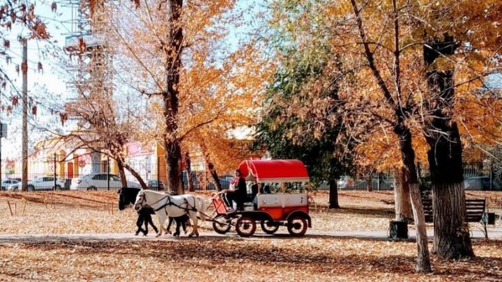 В Саратовской области ожидается теплая и сухая неделя