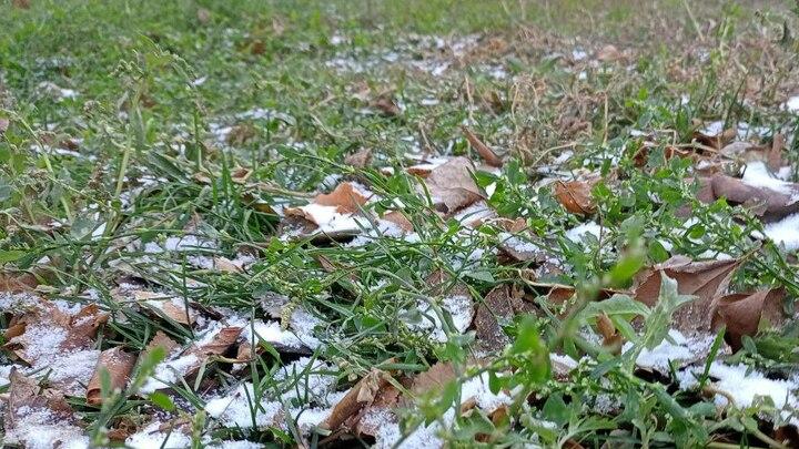 Заморозки ожидаются в Саратовской области