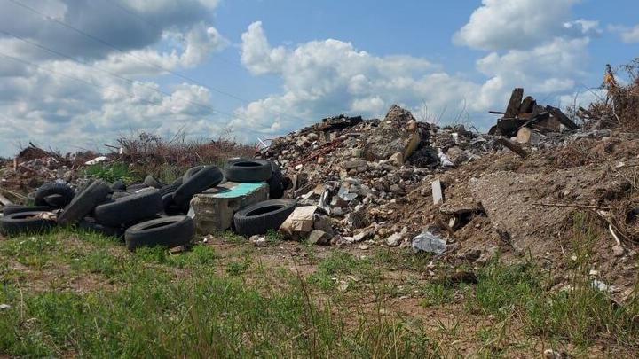 Житель Саратова незаконно производил древесный уголь в Базарно-Каарабулакском районе