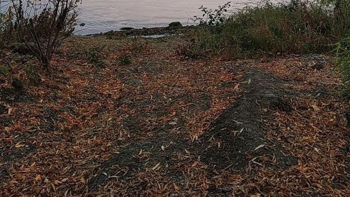 В Балакове в водоеме нашли тело мужчины