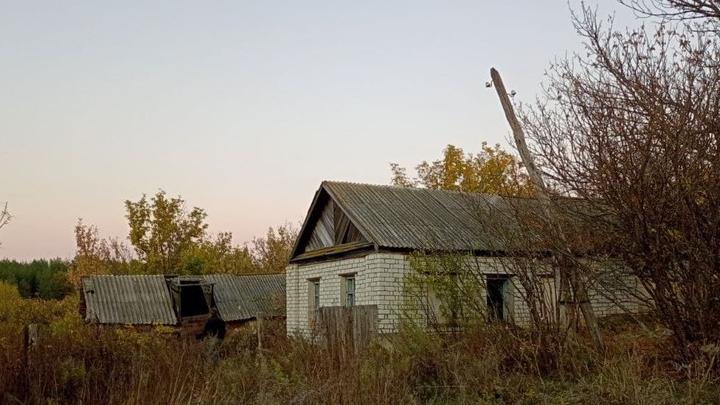 В саратовском селе 30 кур и 2 поросенка погибли в загоревшихся сараях
