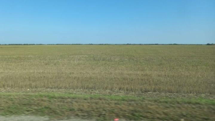 В Саратовской области сохраняется чрезвычайная пожарная опасность