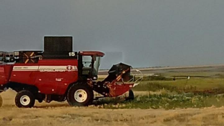 Саратовские аграрии собрали 4,5 млн тонн зерна